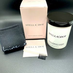 Jewelry Cleaner